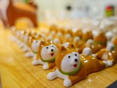 -柴务处·柴犬主题狗咖