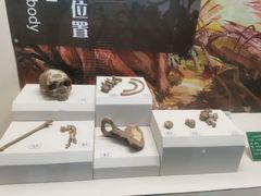 -辽宁古生物博物馆