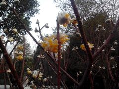 android_upload_pic-万佛塔公园