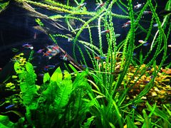 -上海海洋水族馆