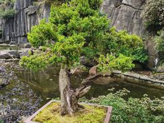 -南山植物园