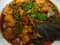 -全乐鱼馆·淳牌有机鱼直营店