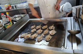 Iron Plate Spanish Mackerel