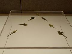 -信阳博物馆