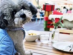 -Grande A'moo(上海万象城店)