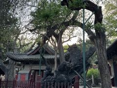 -晋祠公园