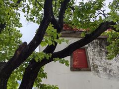 -普陀宗乘之庙