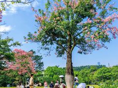 -东莞植物园