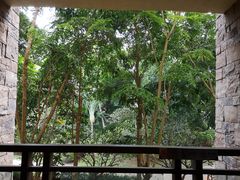 -西双版纳融创皇冠假日度假酒店