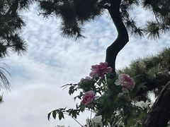 -玄武湖景区-情侣园游乐场