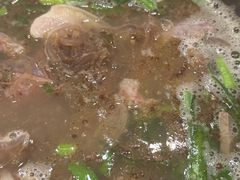 -韩礼年糕(飞虹路店)