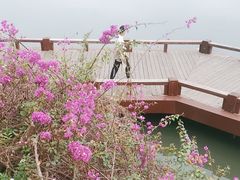 -西湖公园(鼓楼区)