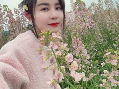 -三圣花乡旅游区