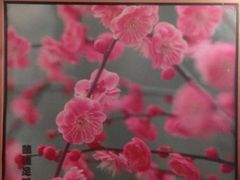 -鸥迪足道(时光海店)