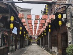 -武汉园博园(武汉自然博物馆)