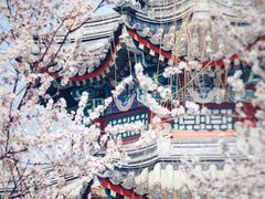 -颐和园