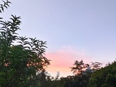 -四海公园(南山区)