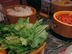 -龍歌自助小火锅(市南金茂湾店)