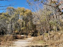 -大岭沟猕猴桃谷风景区