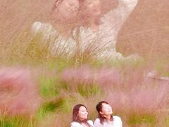 -王借岗森林公园