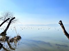 -捞渔河湿地公园