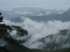 -内乡宝天曼生态旅游区