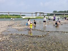 -绿堤公园