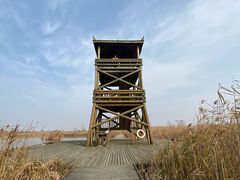 -盐城丹顶鹤湿地生态旅游区