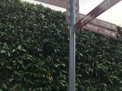 -毛泽东同志旧居