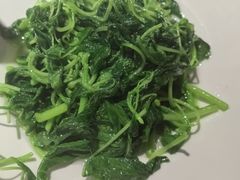 -席家花园(巨鹿花园店)