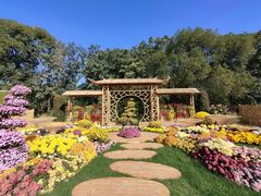 -上海共青森林公园