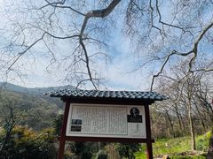 -波尔登森林公园