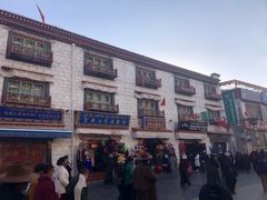 -古树酸奶(八廓南街店)