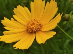 -玄武湖景区-情侣园游乐场