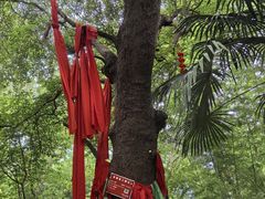 -敬亭山风景名胜区