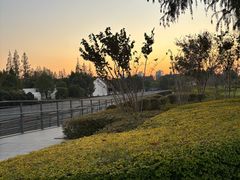 -上海植物园-4号门售票处