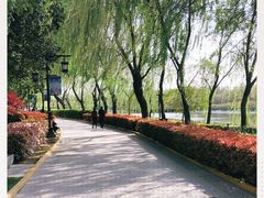 -西安汉城湖景区