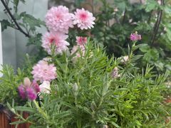 -小茶闲舍·观景商务茶馆(广州塔店)