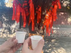 -函谷关历史文化旅游区
