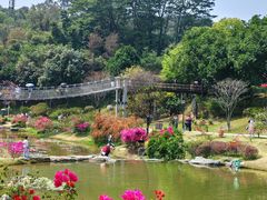 -东莞植物园