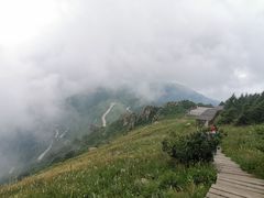 -白草畔自然风景区