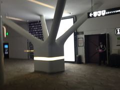-巨幕影城(光谷广场资本大厦店)