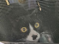 -纳吉亚猫专科动物医院·北北分院