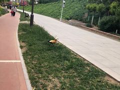 -南翠屏公园