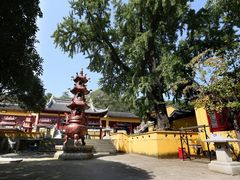 -龙寺生态园