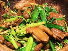沙姜乳鸽-五邑人家(江门店)