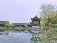 -春色如许·茶食餐厅(桃李春风店)