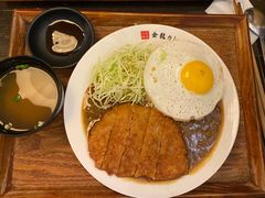 -金龙咖喱
