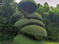 -苏州河梦清园环保主题公园