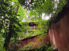 -青城山